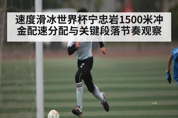 速度滑冰世界杯宁忠岩1500米冲金配速分配与关键段落节奏观察